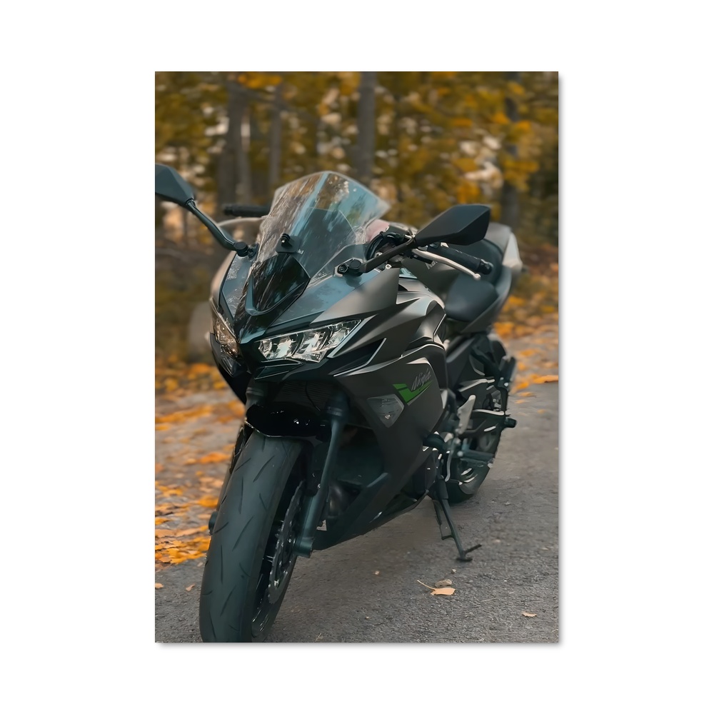Poster Ninja Incroyable